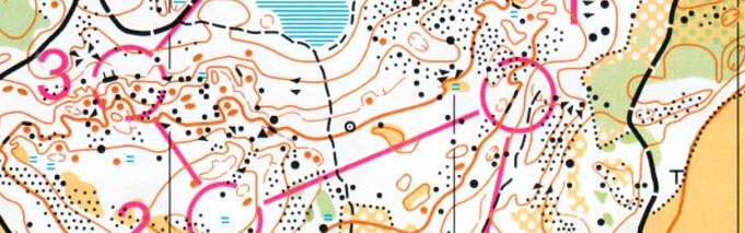 24-64 DM-stafett Kjula