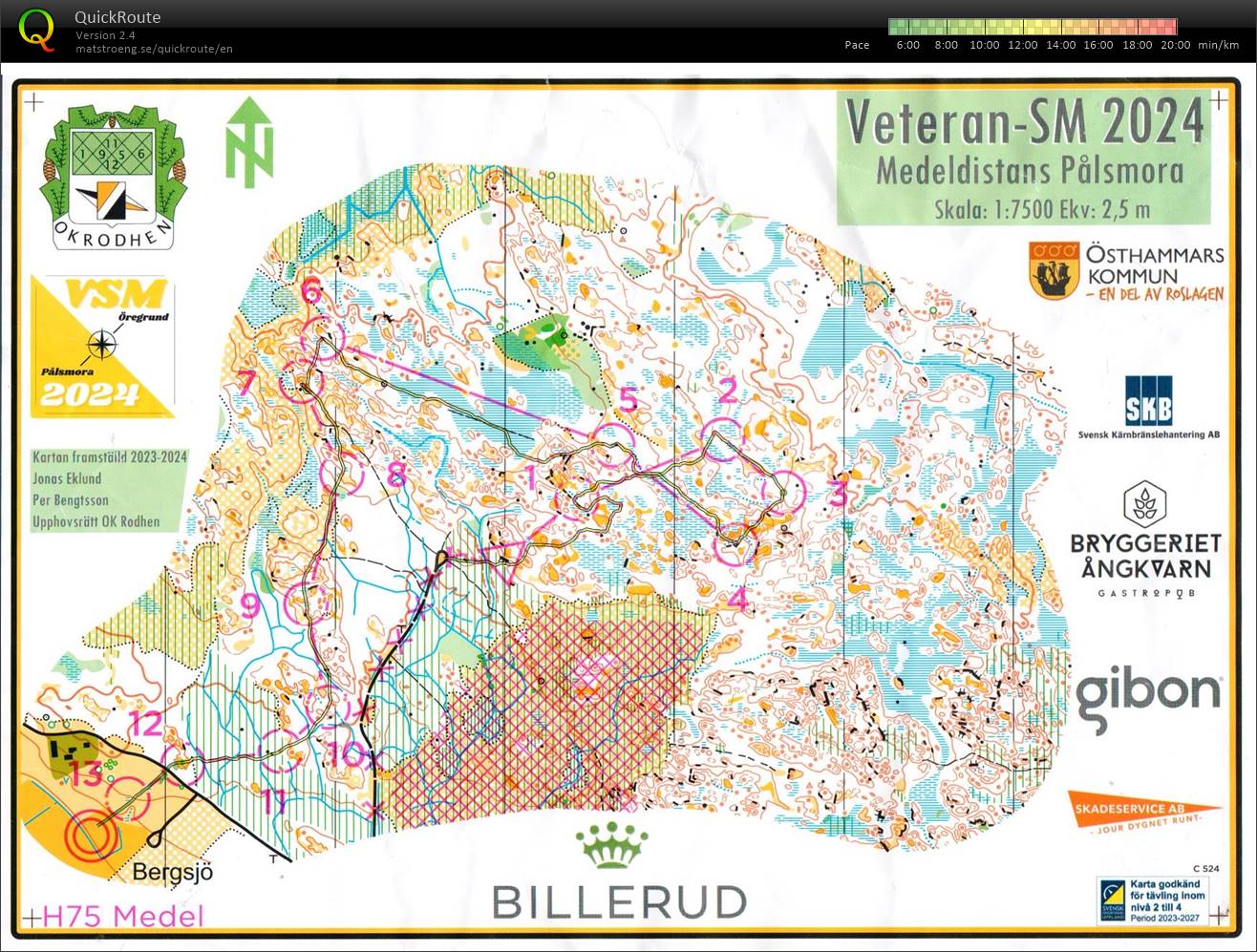 24-61 Veteran-SM medel (2024-08-31)