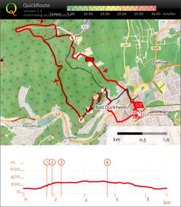 T 17-10 Löpträning m Marsha (2017-06-23)