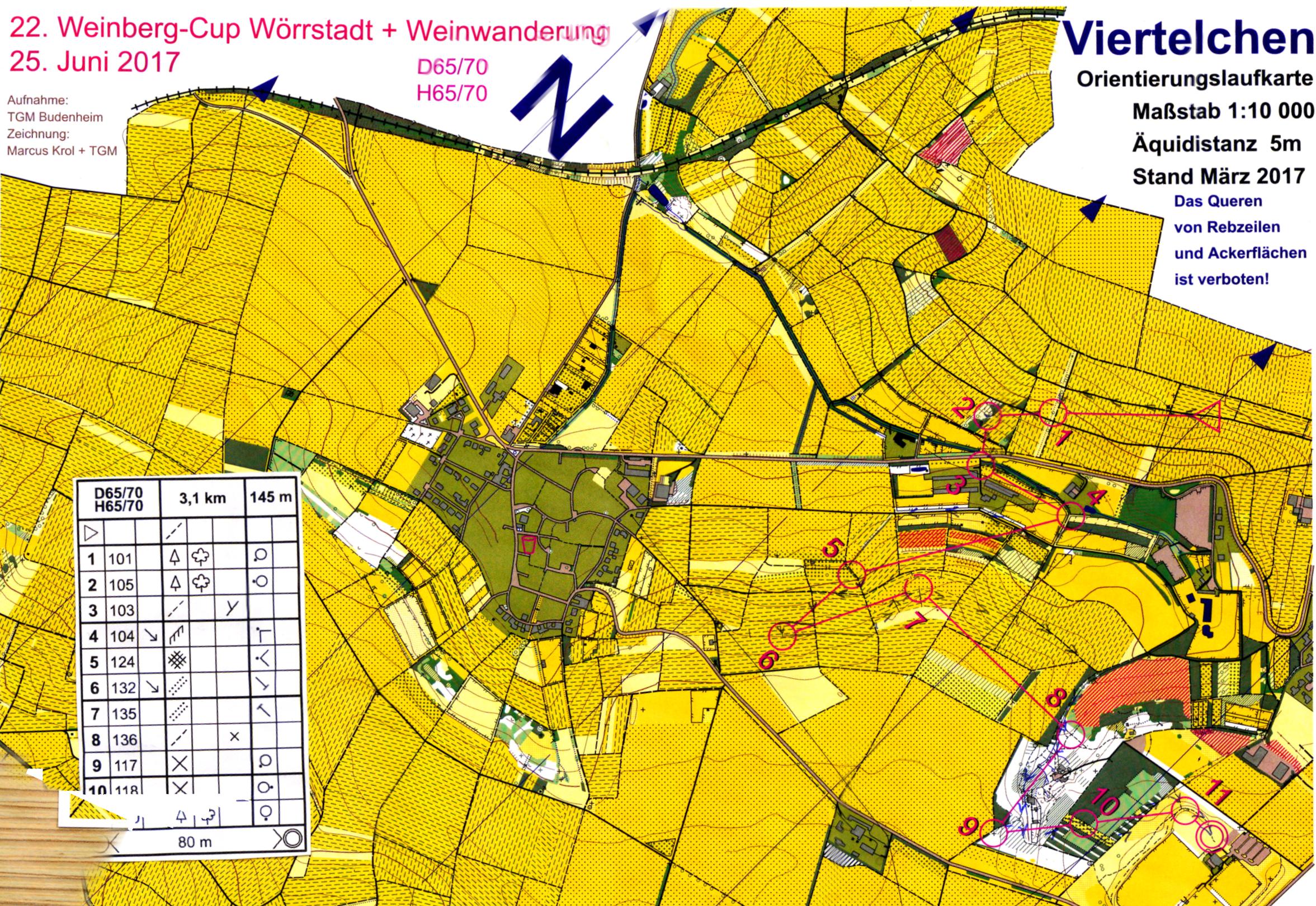 17-49 Weinberg Cup Wörrstadt (2017-06-25)