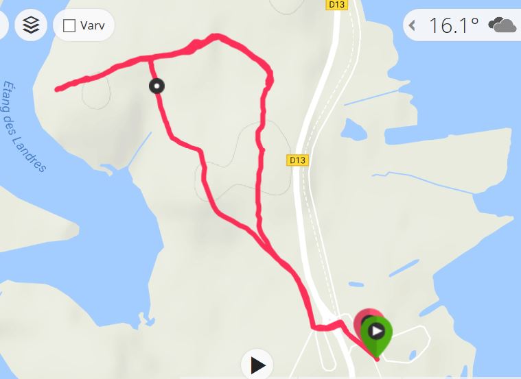 T 17-12 Löpträning m Marsha (2017-06-29)