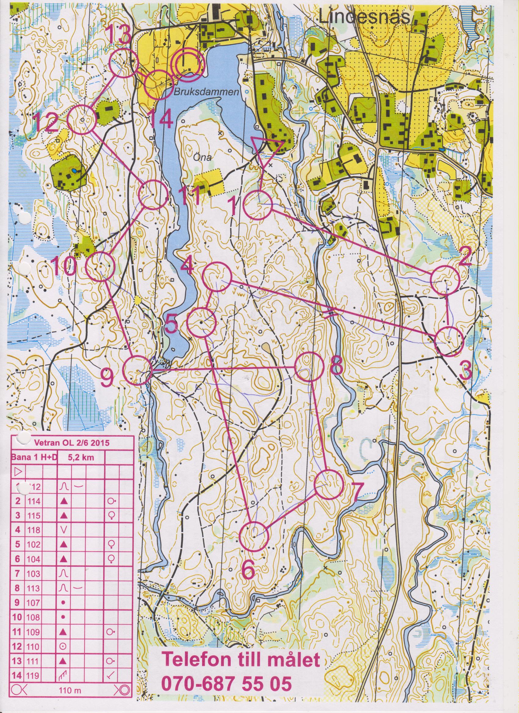 15-37 Dala Veteran OL Vansbro (2015-06-02)