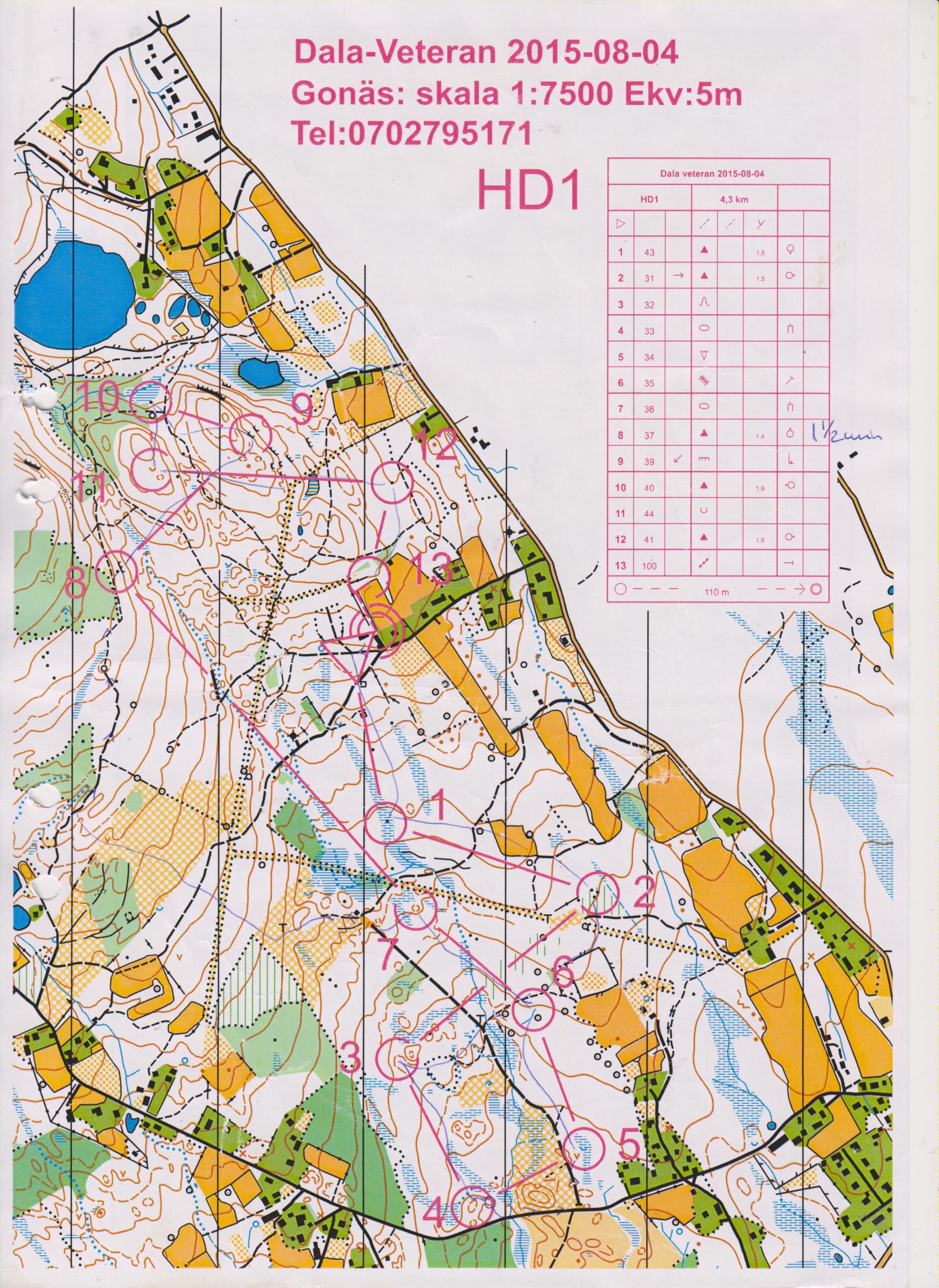 15-67 Dala Veteran OL Grangärde (2015-08-04)