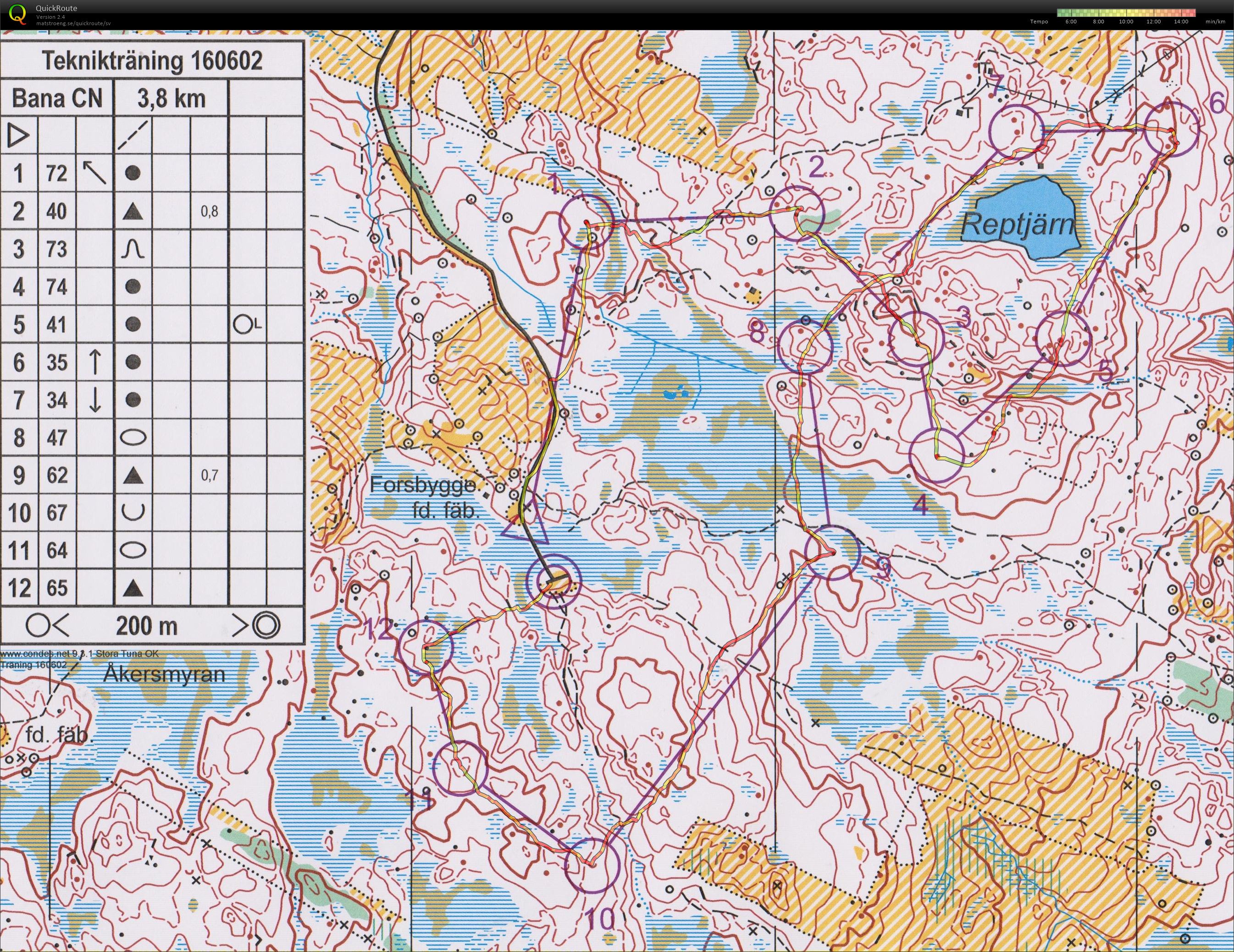 OL-träning Reptjärn (2016-06-02)