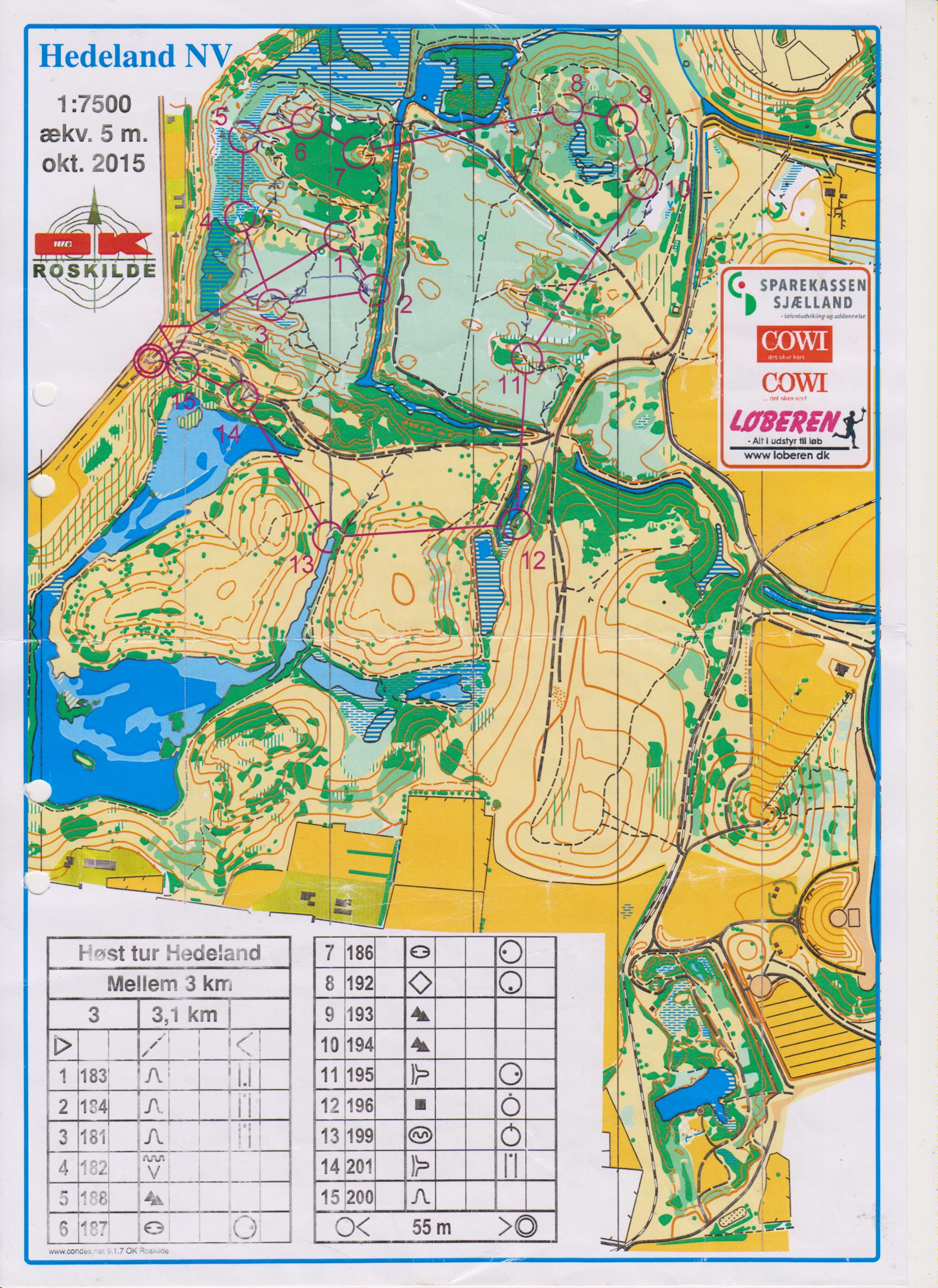 15-94 Höst-Öst Roskilde (2015-10-23)