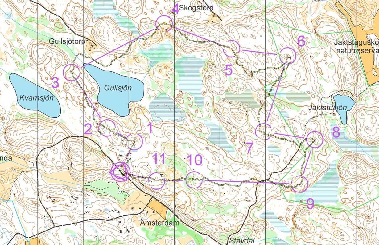 T 20-31 Träning m kartkoll N Helgesta (2020-07-05)
