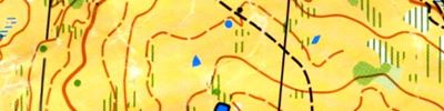 16-61 O-Ringen E4
